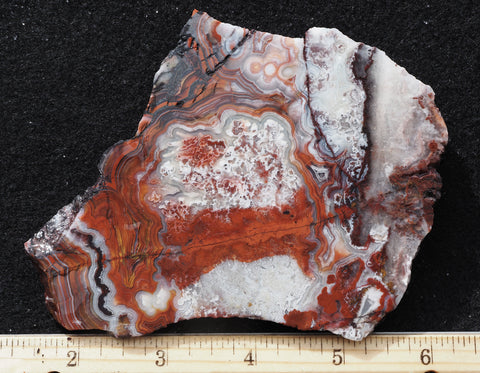 Lacy Rocks Slabs Laguna Lace Agate Rock Slab 433 – DD Rocks