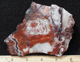 Laguna Lace Agate Rock Slab 433