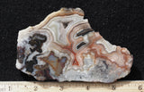 Laguna Lace Agate Rock Slab 494