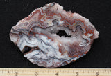 Laguna Lace Agate Rock Slab 479