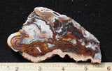 Laguna Lace Agate Rock Slab 496