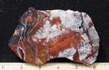 Laguna Lace Agate Rock Slab 493