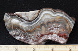 Laguna Lace Agate Rock Slab 481