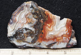 Laguna Lace Agate Rock Slab 499