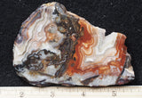 Laguna Lace Agate Rock Slab 499