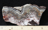 Laguna Lace Agate Rock Slab 491