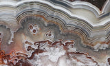 Laguna Lace Agate Rock Slab 491