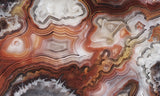Laguna Lace Agate Rock Slab 429