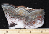 Laguna Lace Agate Rock Slab 482