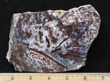 Paisley Agate Rock Slab 92