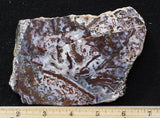 Paisley Agate Rock Slab 92