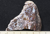 Paisley Agate Rock Slab 90