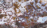 Paisley Agate Rock Slab 90