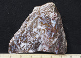 Paisley Agate Slab 387