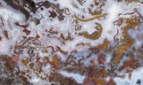 Paisley Agate Slab 387