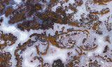 Paisley Agate Rock Slab 87