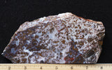 Paisley Agate Rock Slab 87