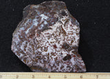 Paisley Agate Slab 388