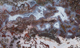 Paisley Agate Slab 388