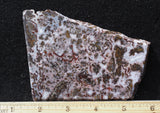 Paisley Agate Rock Slab 88