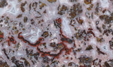 Paisley Agate Rock Slab 88