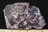 Paisley Agate Rock Slab 91