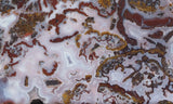 Paisley Agate Slab 394