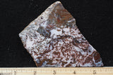 Paisley Agate Slab 391