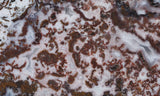 Paisley Agate Slab 391