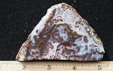 Paisley Agate Rock Slab 98