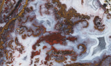 Paisley Agate Rock Slab 98