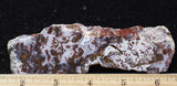 Paisley Agate Slab 398