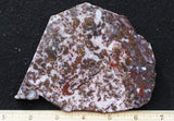 Paisley Agate Rock Slab 85