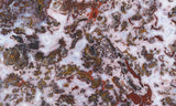 Paisley Agate Rock Slab 85