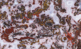 Paisley Agate Rock Slab 85