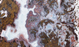 Paisley Agate Rock Slab 93