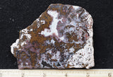 Paisley Agate Rock Slab 93