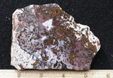 Paisley Agate Rock Slab 94