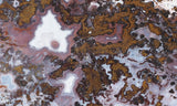 Paisley Agate Rock Slab 94