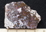 Paisley Agate Rock Slab 94