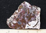 Paisley Agate Rock Slab 95
