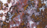 Paisley Agate Rock Slab 95