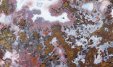 Paisley Agate Rock Slab 95