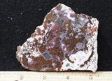 Paisley Agate Rock Slab 95