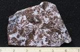 Paisley Agate Rock Slab 86