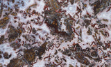 Paisley Agate Rock Slab 86