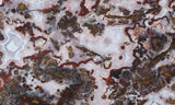 Paisley Agate Rock Slab 86