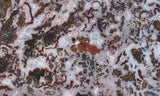 Paisley Agate Rock Slab 89