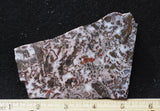 Paisley Agate Rock Slab 89