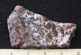 Paisley Agate Slab 395